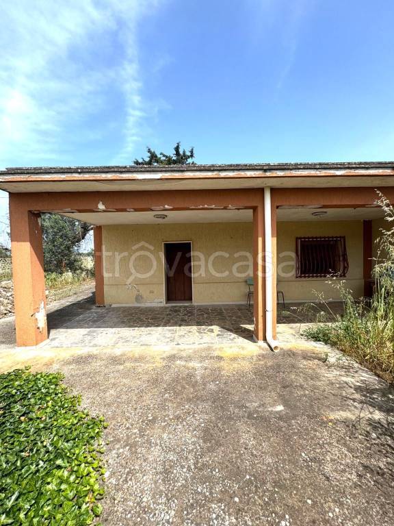 immagine annuncio 2 di 12