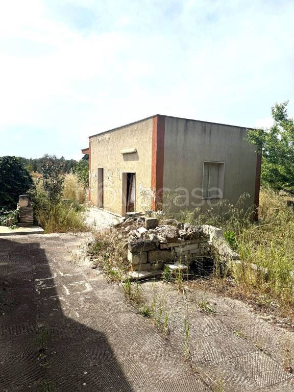 immagine annuncio 4 di 12