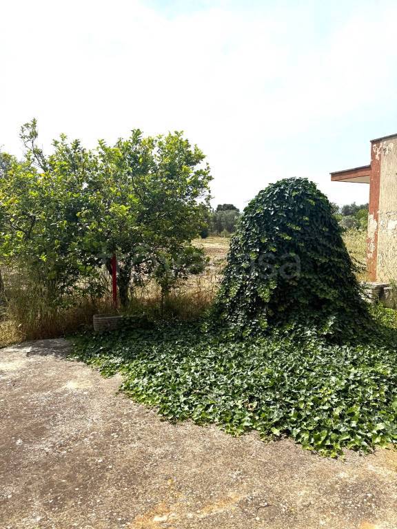 immagine annuncio 10 di 12