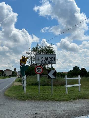 immagine annuncio 6 di 12