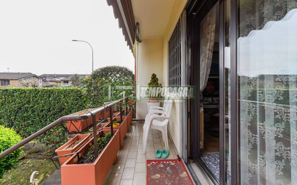 immagine annuncio 11 di 15