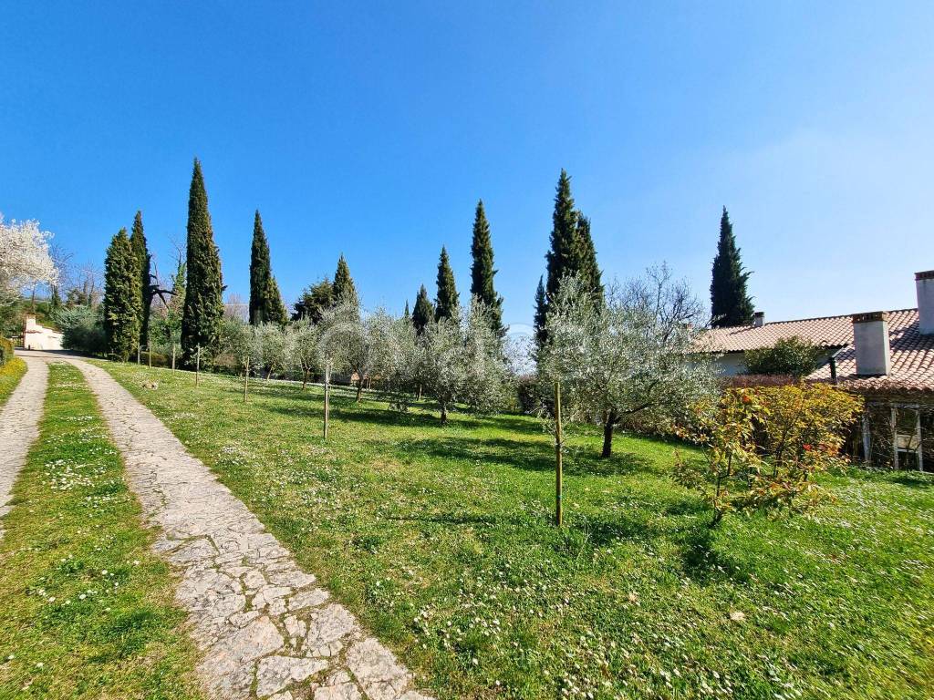 immagine annuncio 9 di 11