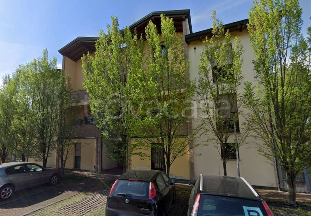 immagine annuncio 9 di 15