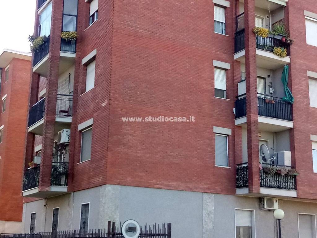 immagine annuncio 1 di 4