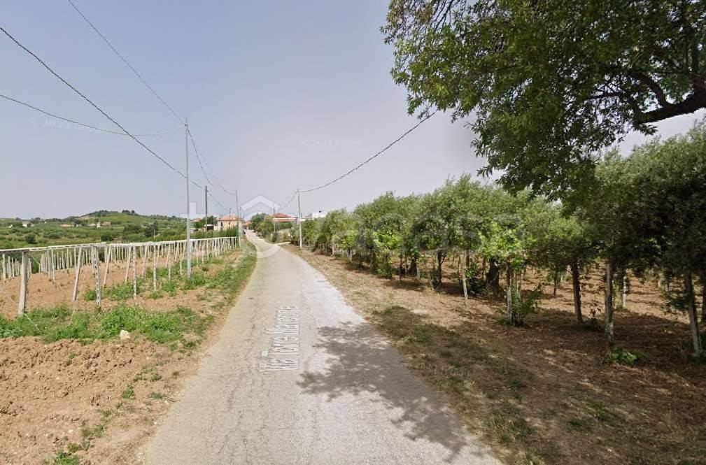 immagine annuncio 11 di 12