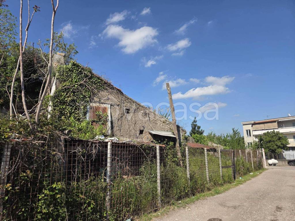 immagine annuncio 5 di 6