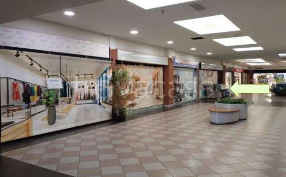 immagine annuncio 3 di 6