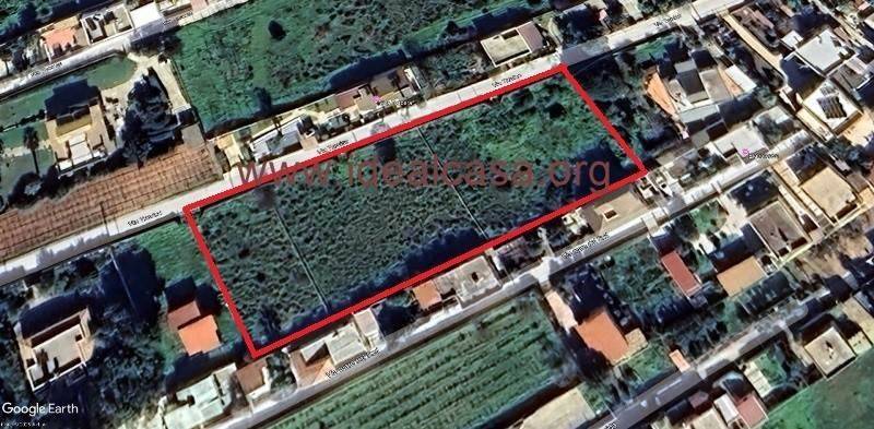 immagine annuncio 5 di 6