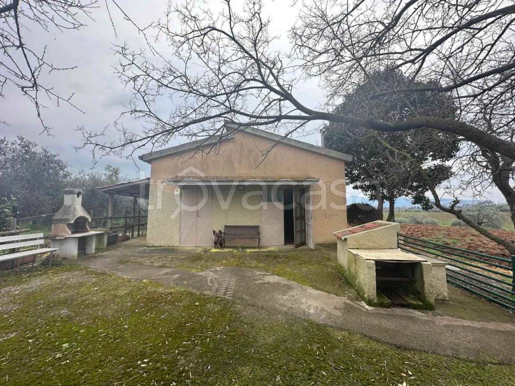 immagine annuncio 6 di 9