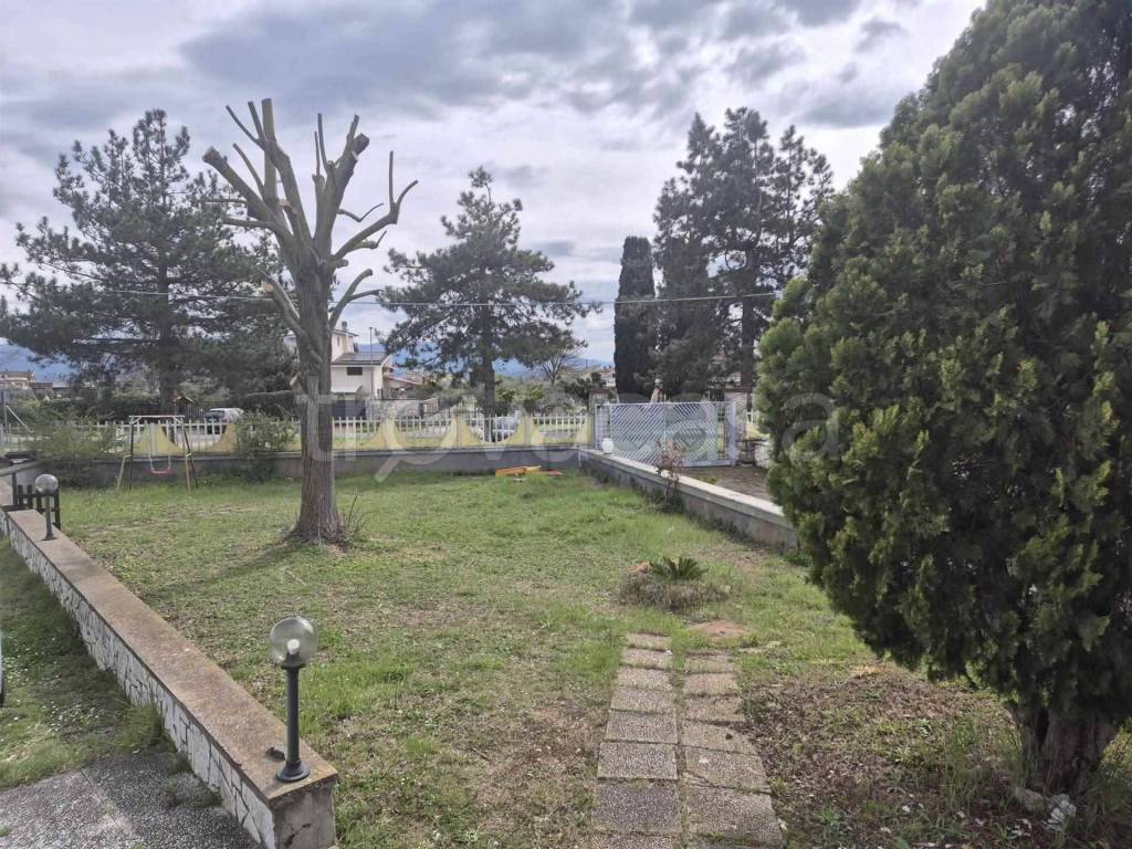 immagine annuncio 11 di 13