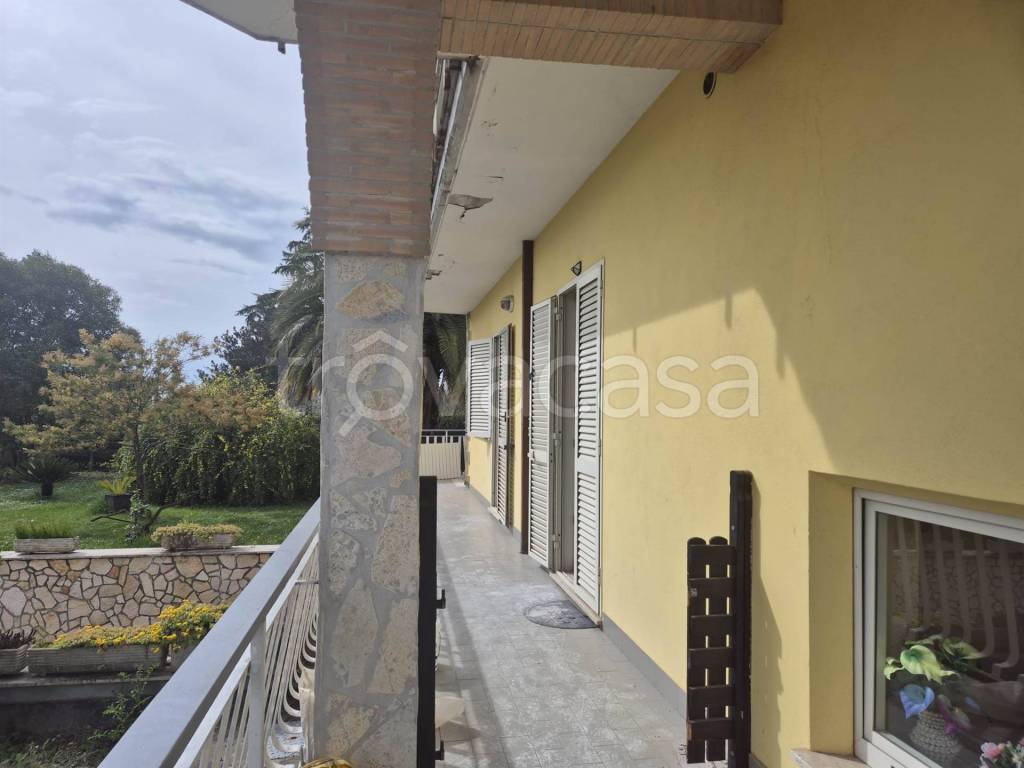 immagine annuncio 12 di 13