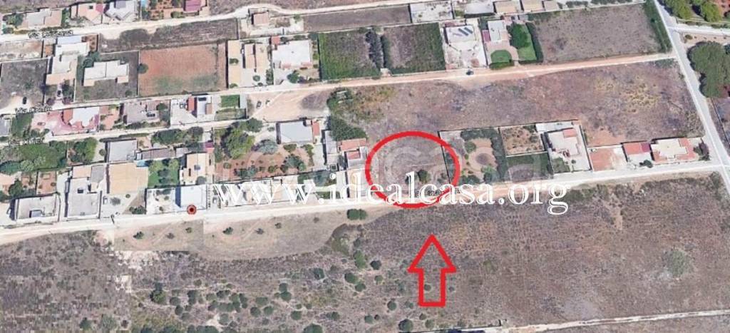 immagine annuncio 1 di 2