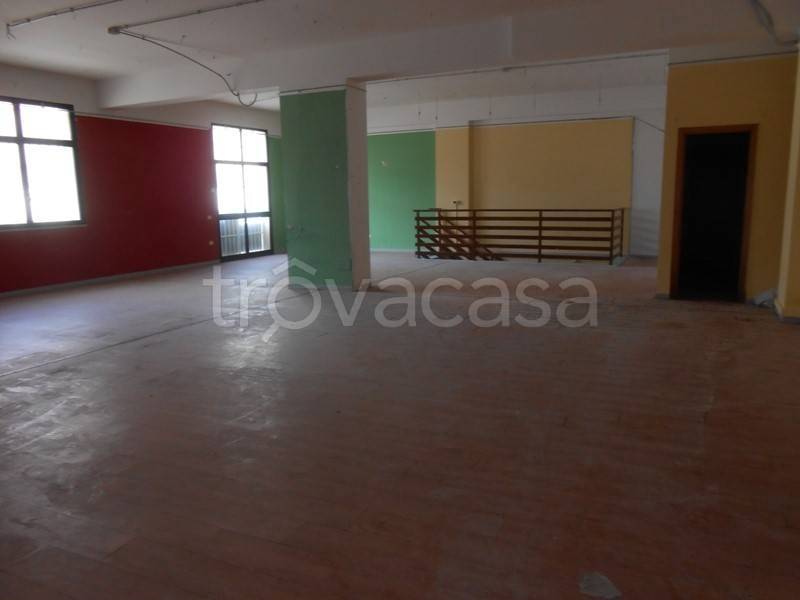 immagine annuncio 3 di 7