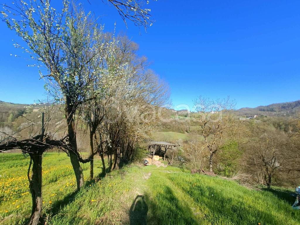 immagine annuncio 11 di 13