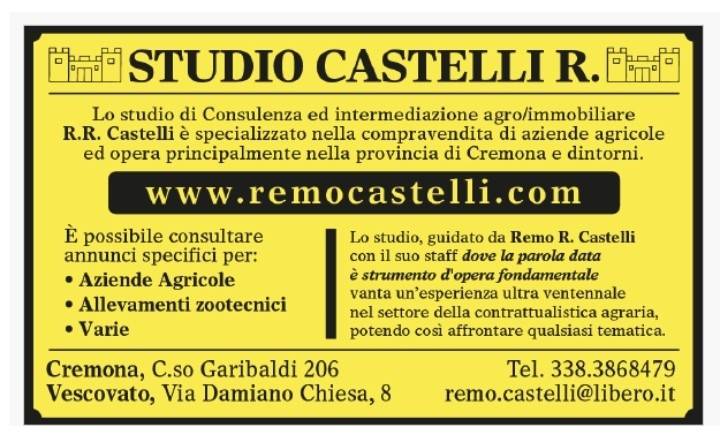 immagine annuncio 4 di 9