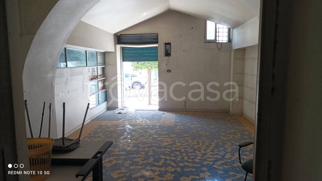 immagine annuncio 5 di 11