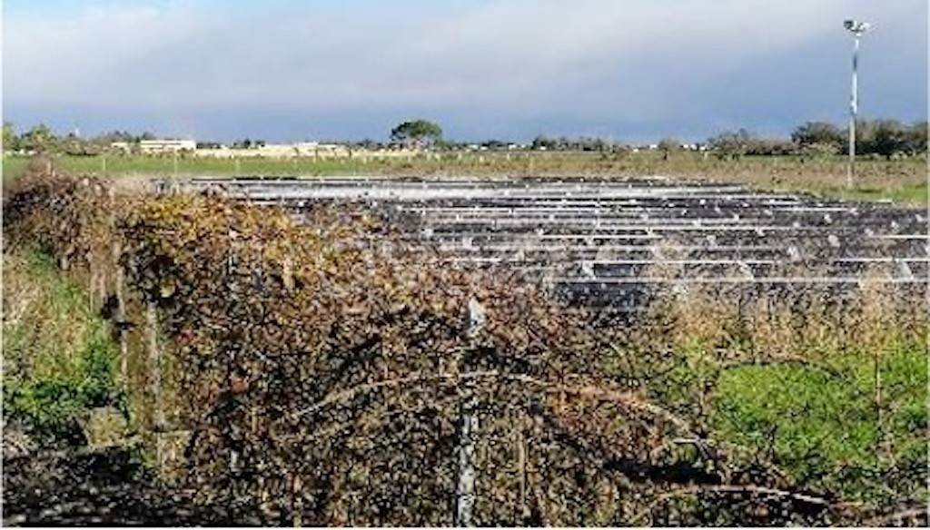 immagine annuncio 2 di 11