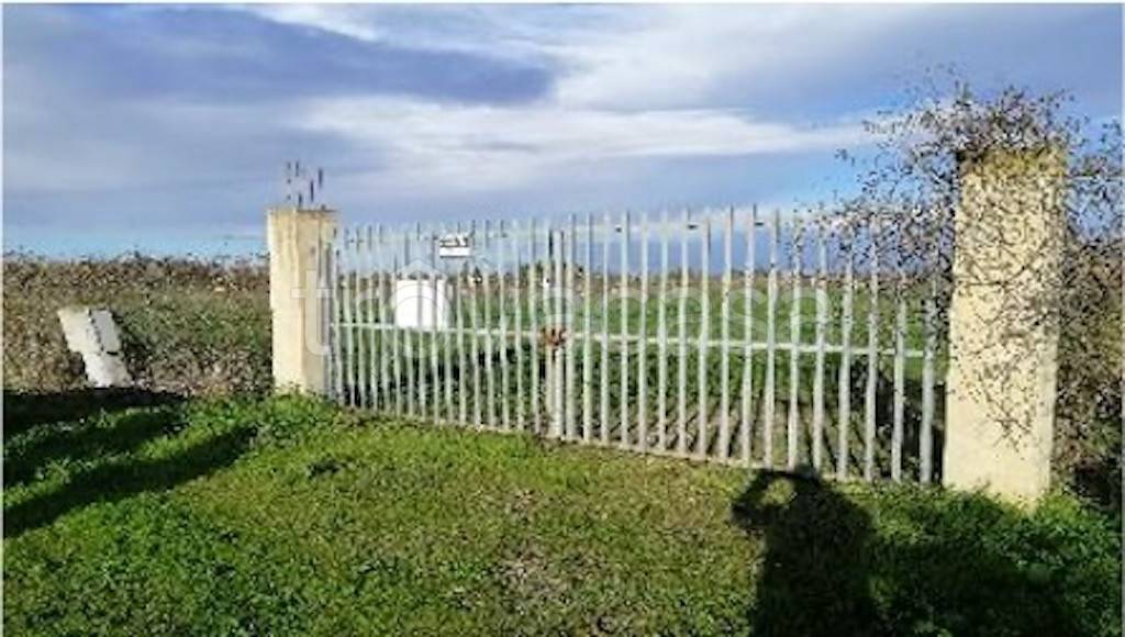 immagine annuncio 4 di 11