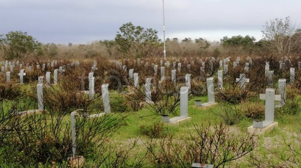 immagine annuncio 5 di 11