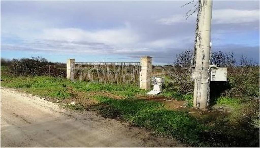 immagine annuncio 6 di 11