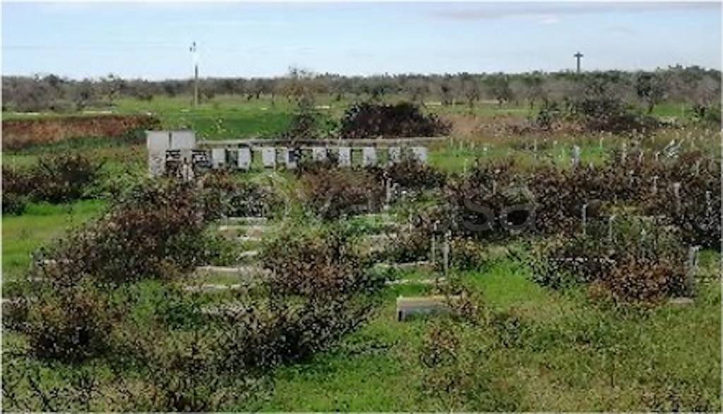 immagine annuncio 10 di 11