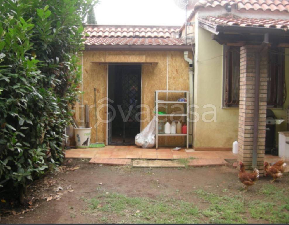 immagine annuncio 7 di 11