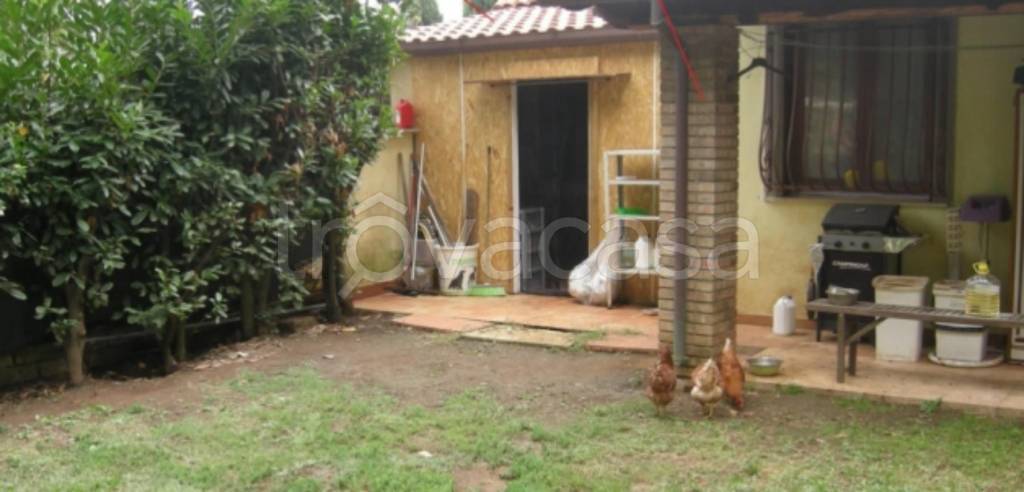 immagine annuncio 8 di 11