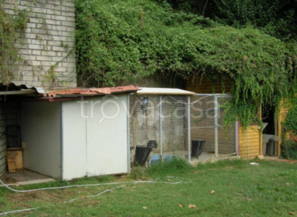 immagine annuncio 9 di 11