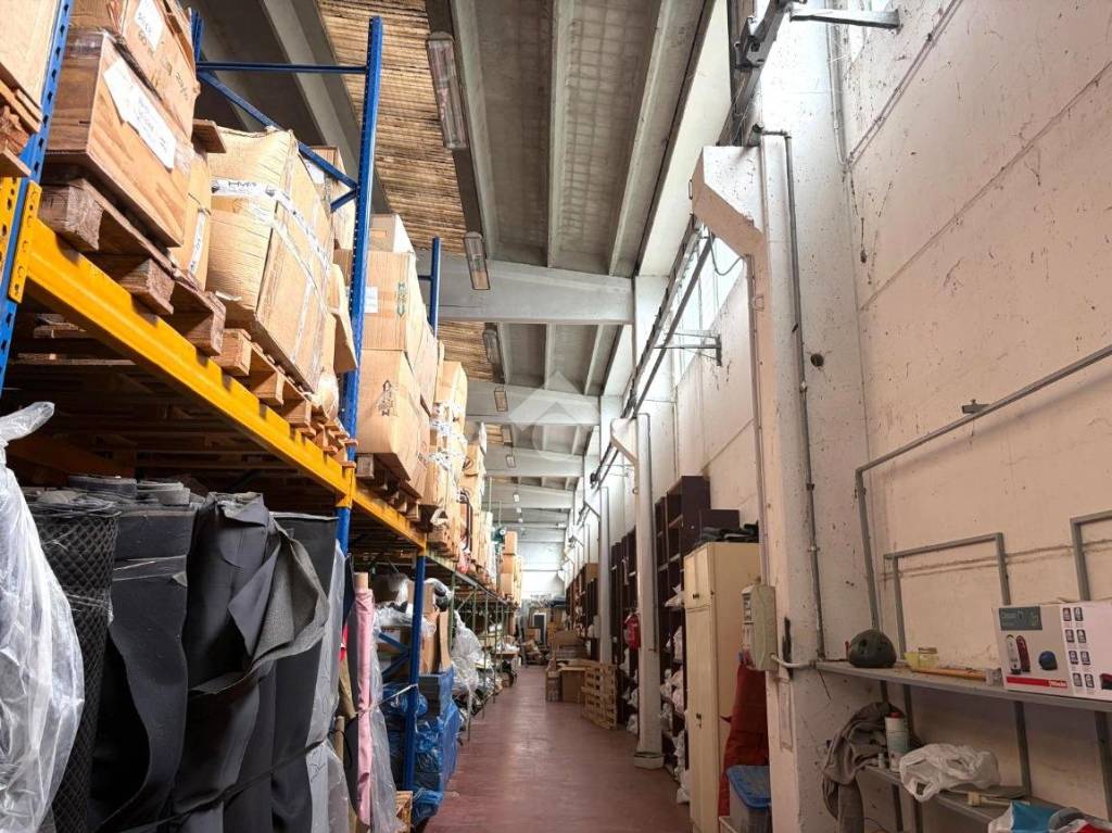 immagine annuncio 1 di 14