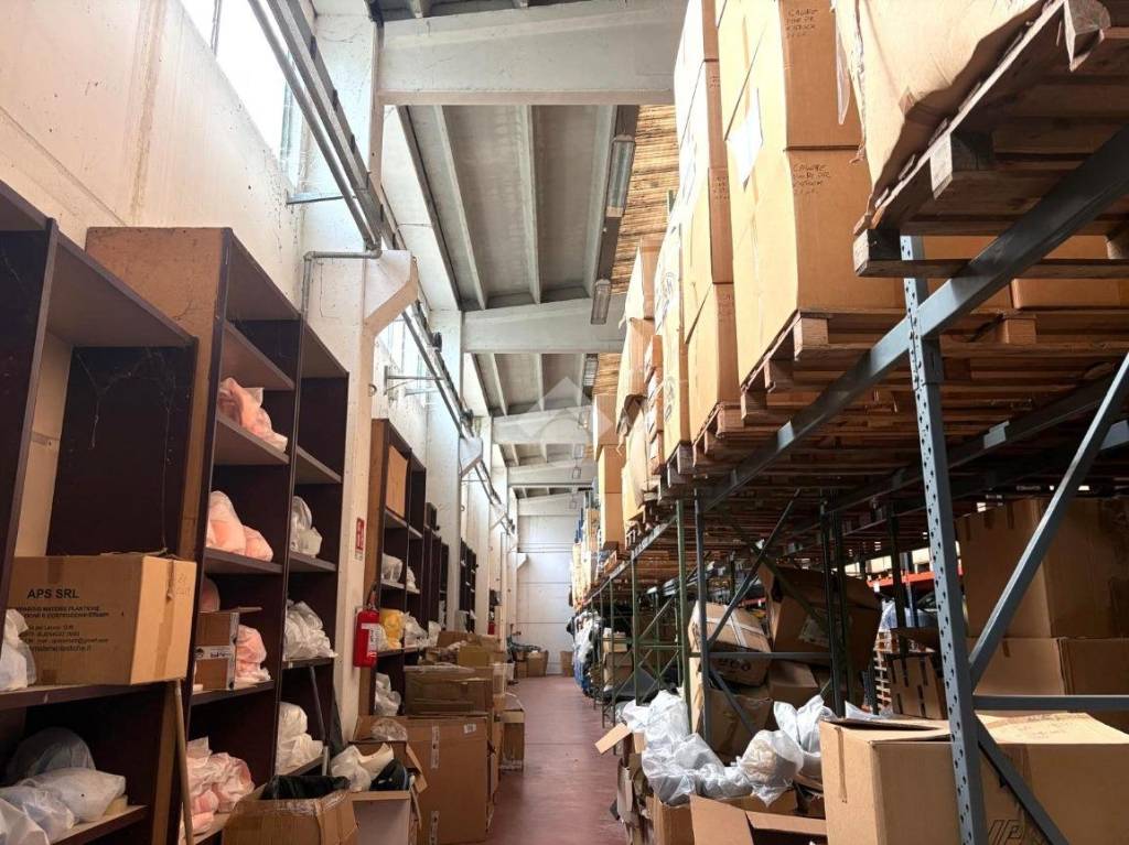 immagine annuncio 2 di 14