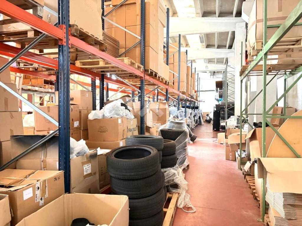 immagine annuncio 3 di 14