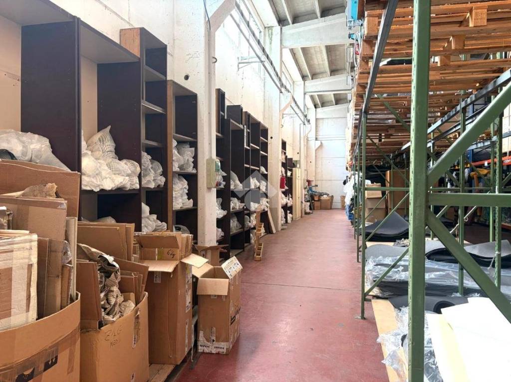 immagine annuncio 4 di 14