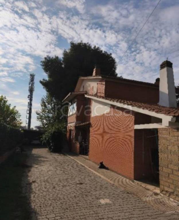 immagine annuncio 9 di 11