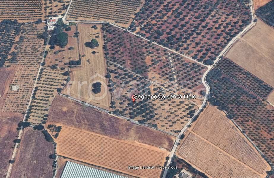 immagine annuncio 6 di 14