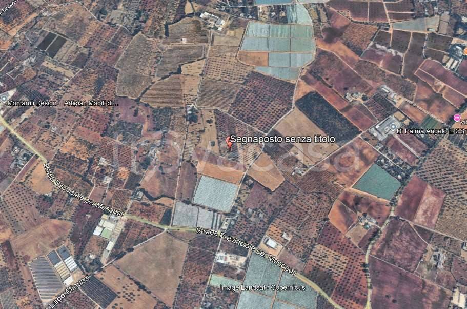 immagine annuncio 7 di 14