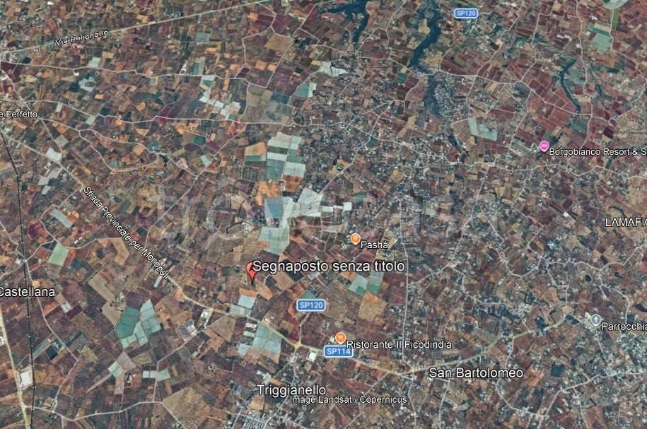 immagine annuncio 8 di 14