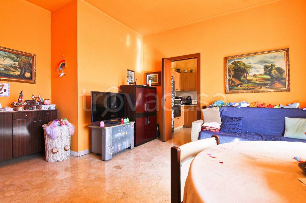 immagine annuncio 6 di 15