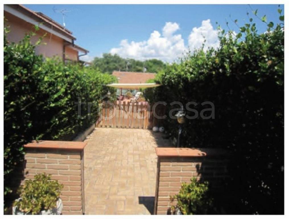 immagine annuncio 5 di 14