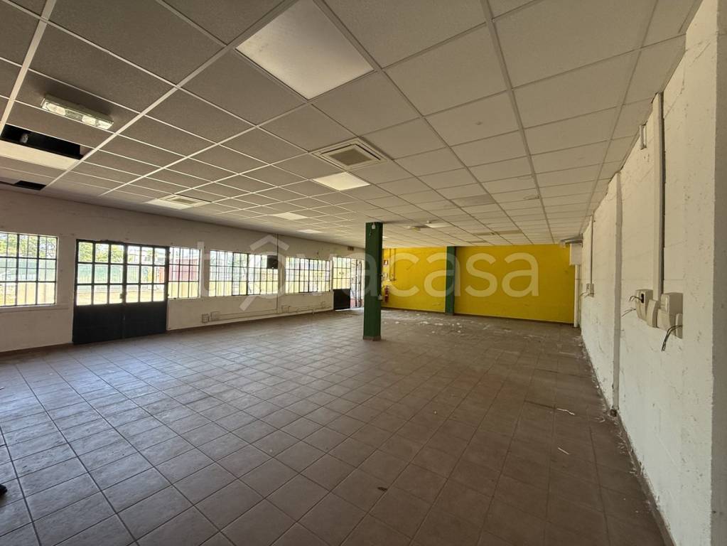 immagine annuncio 4 di 10