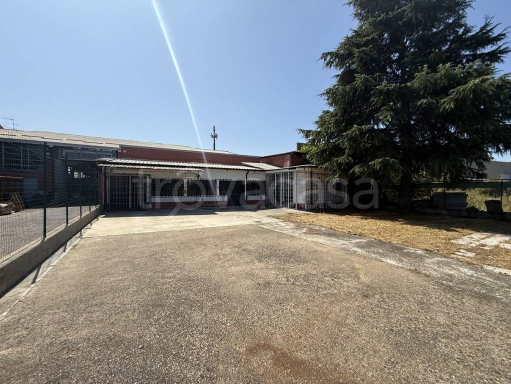 immagine annuncio 1 di 10