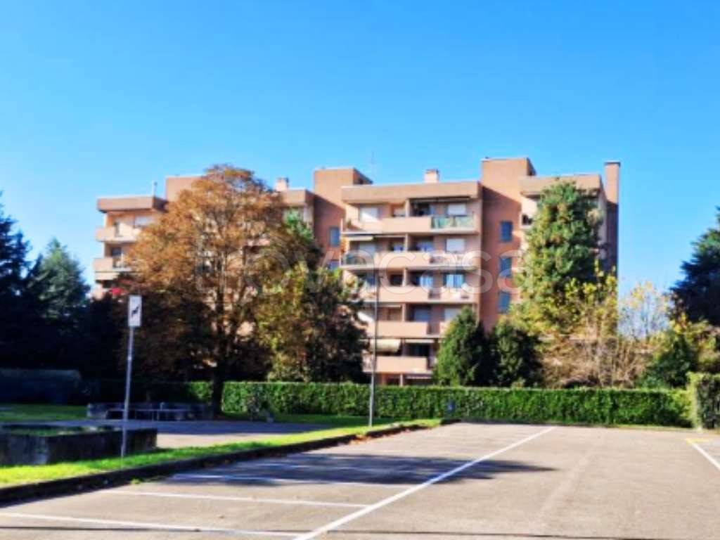 immagine annuncio 1 di 12