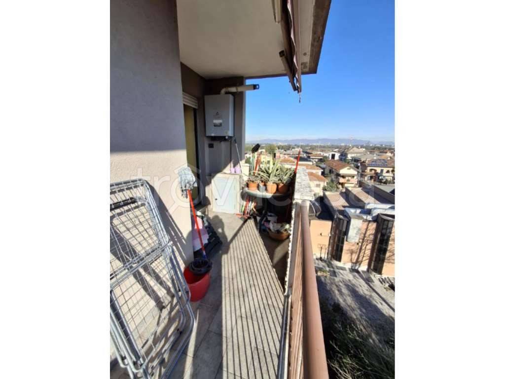 immagine annuncio 10 di 12