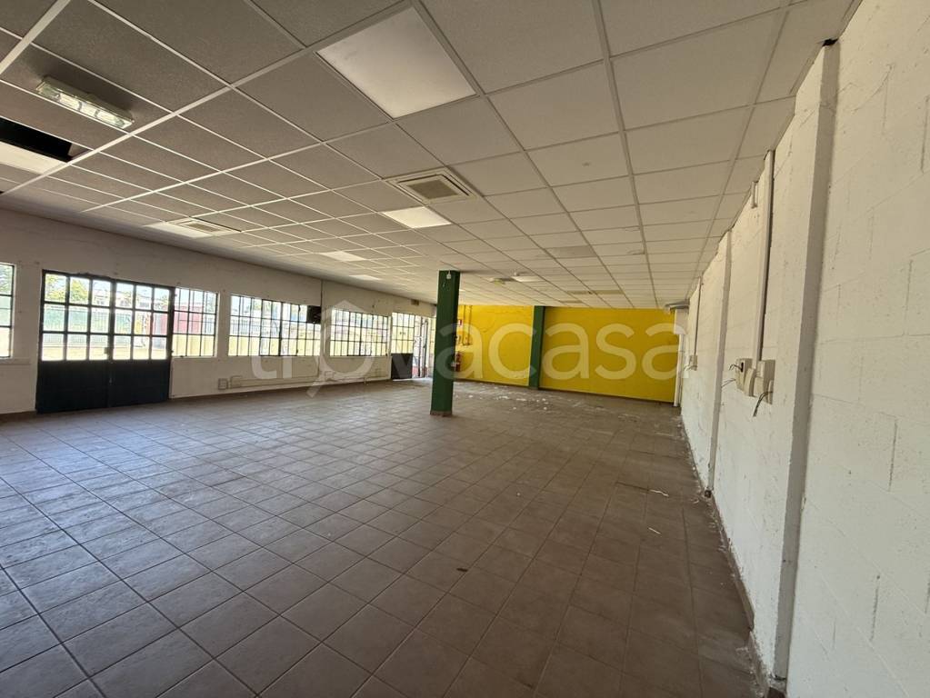 immagine annuncio 6 di 10