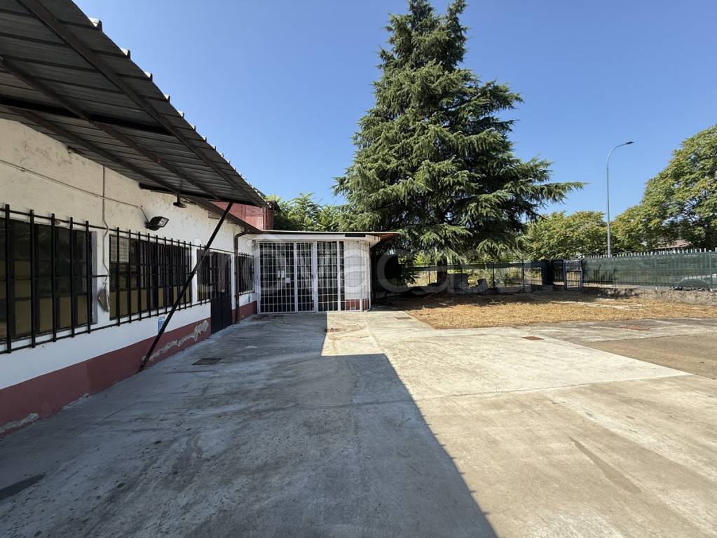 immagine annuncio 2 di 10