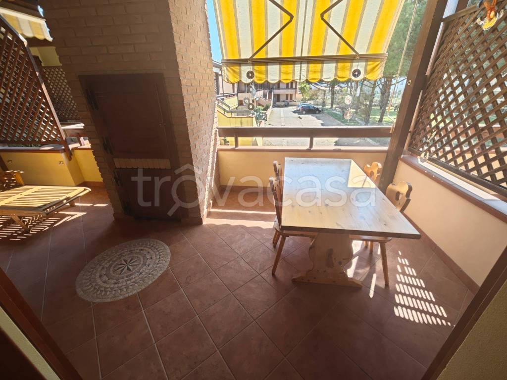 immagine annuncio 9 di 15