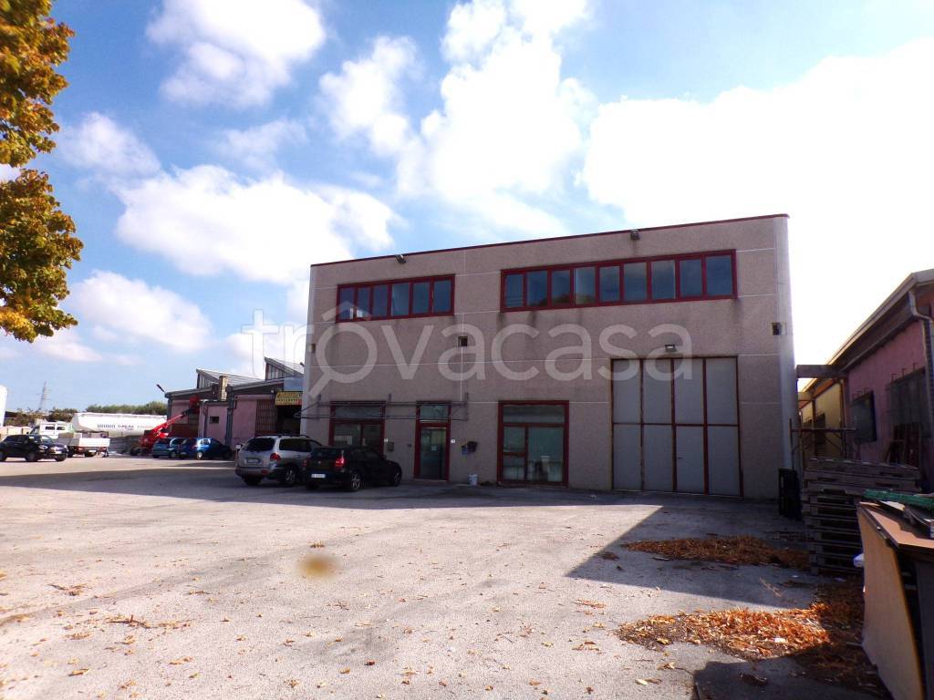 immagine annuncio 1 di 2