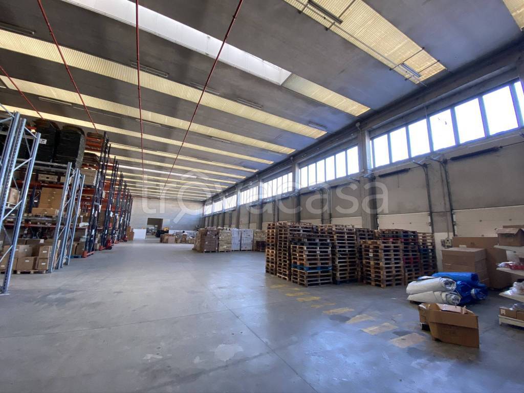 immagine annuncio 9 di 15