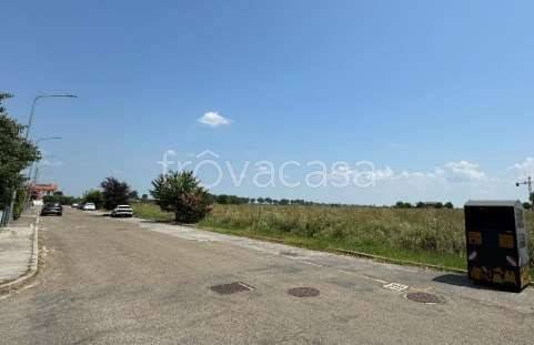 immagine annuncio 5 di 9