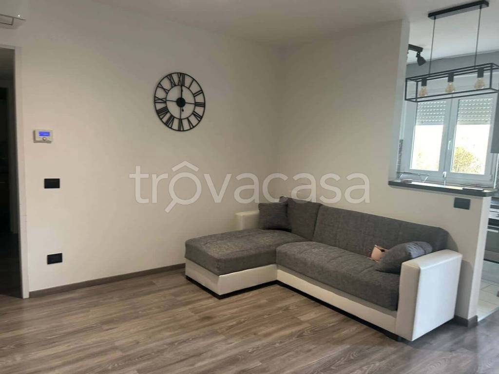 immagine annuncio 5 di 14