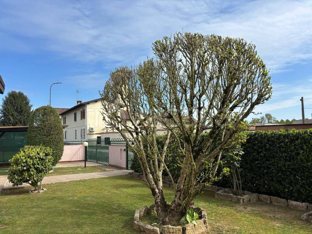 immagine annuncio 3 di 15